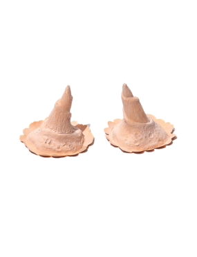 PXP Latex Gedraaide Hoorn Groot