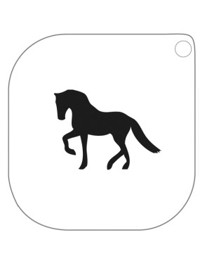 Grimas Sjabloon Paard_2