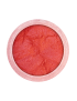PXP Pearlescent Pigment Pink 5g
